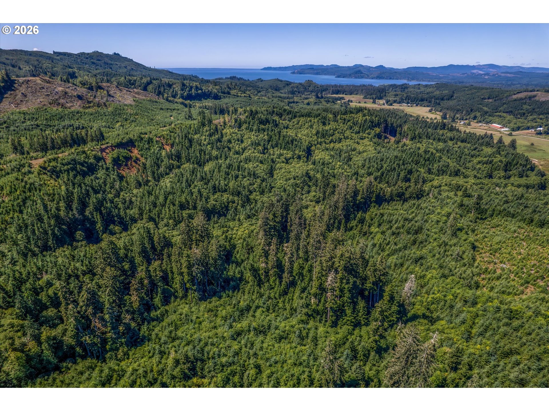 1 Eden Valley Road Rosburg, WA 98643 - Photo 1 of 11 a view of a lush green hillside and a houses