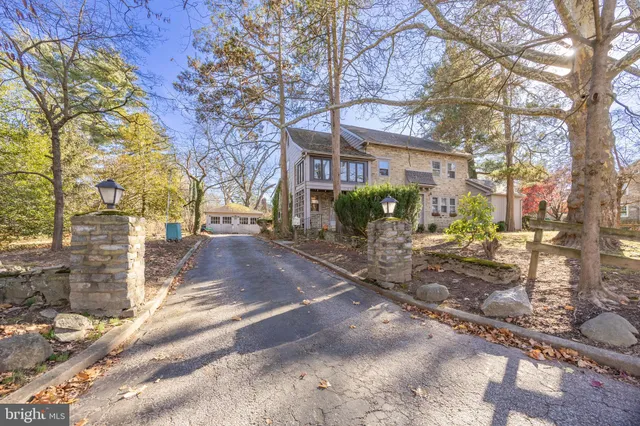 a view of road with large trees
