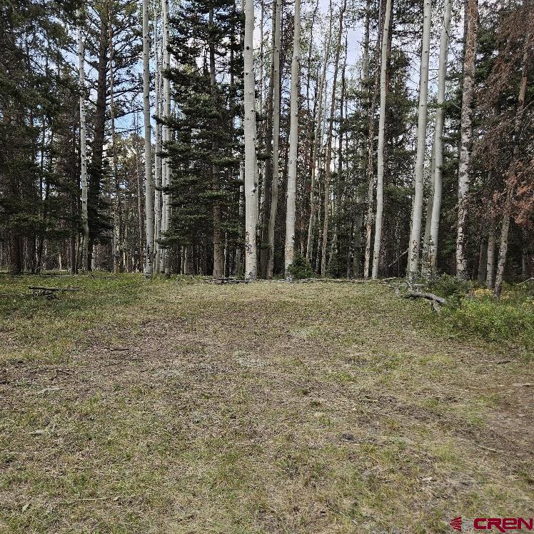 620 Balsam Road Cimarron, CO 81220 - Photo 14 of 14 Gallery Image 14