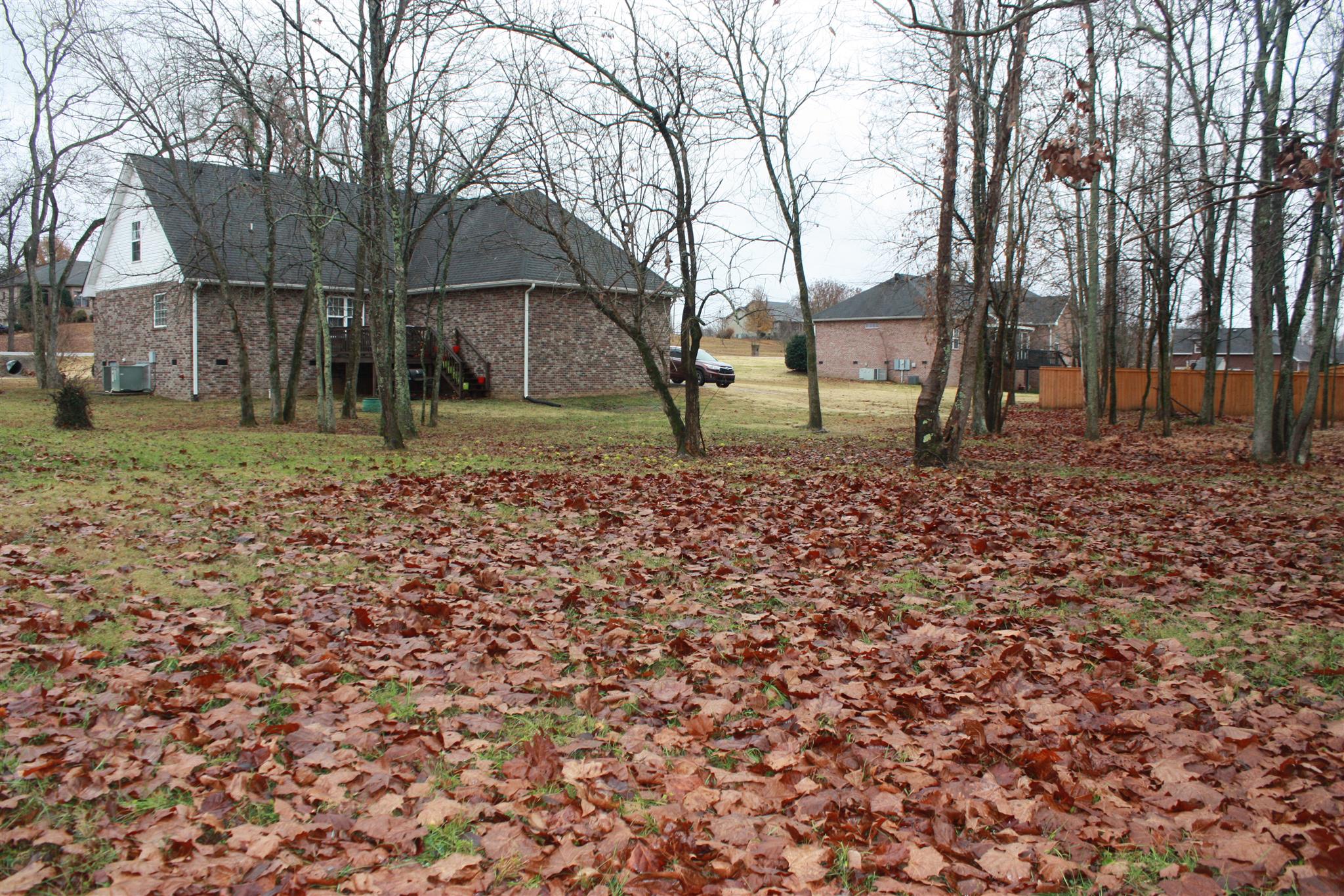 776 Cedar Grove Road Lebanon, TN 37087 - Photo 3 of 24 a backyard of a house with lots of green space