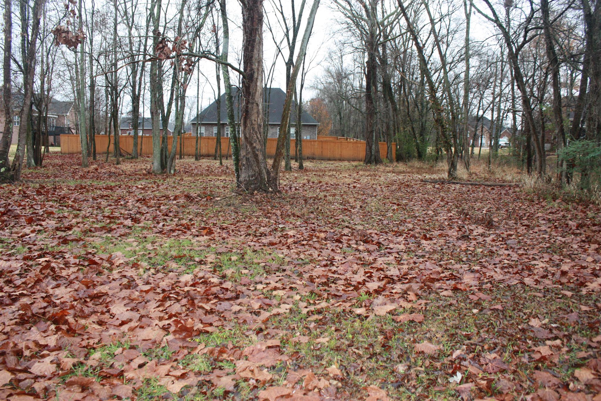 776 Cedar Grove Road Lebanon, TN 37087 - Photo 4 of 24 a backyard of a house with lots of green space