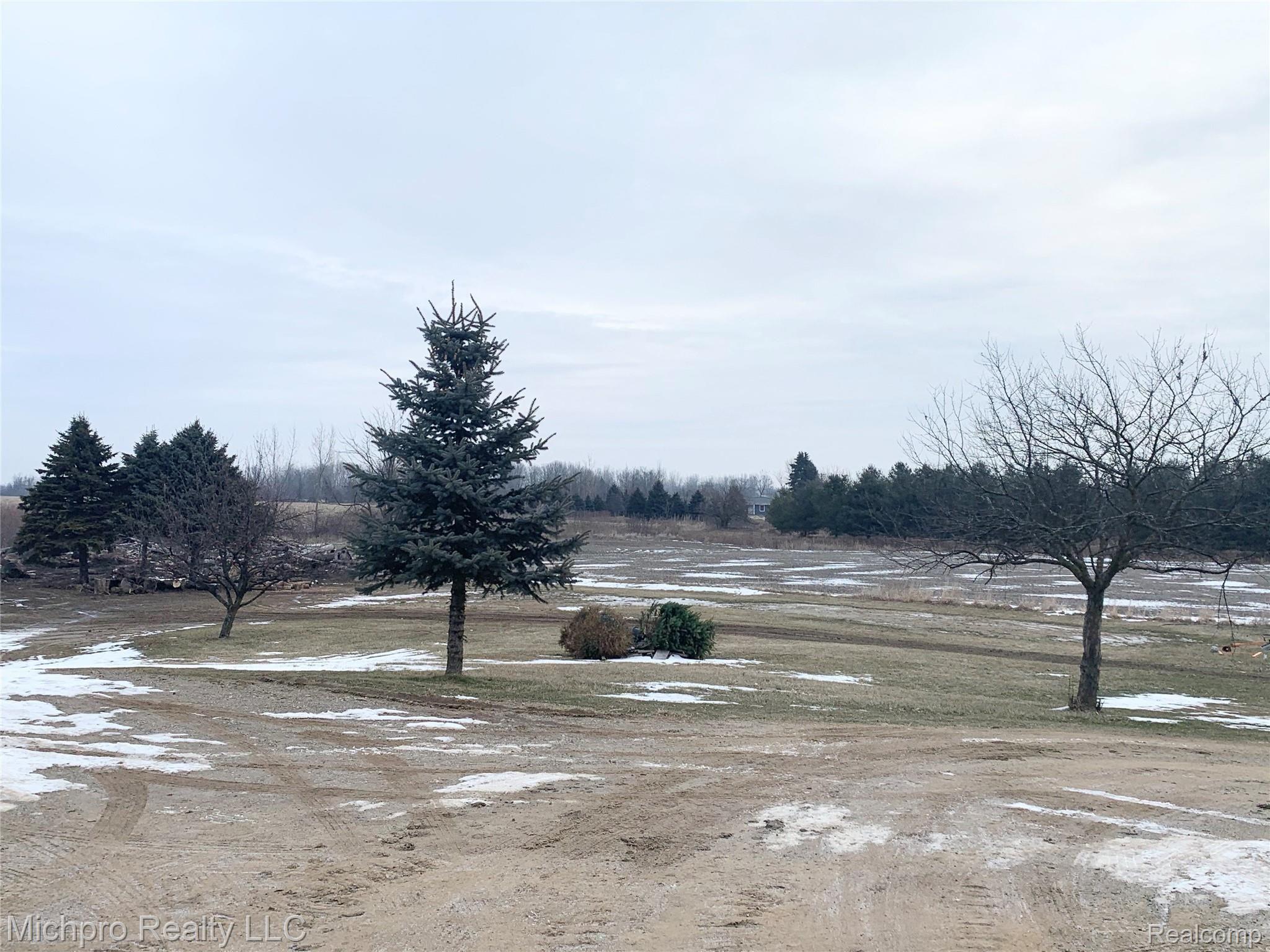 4330 Brooks Road Brown City, MI 48416 - Photo 30 of 34 Brooks 25.jpg