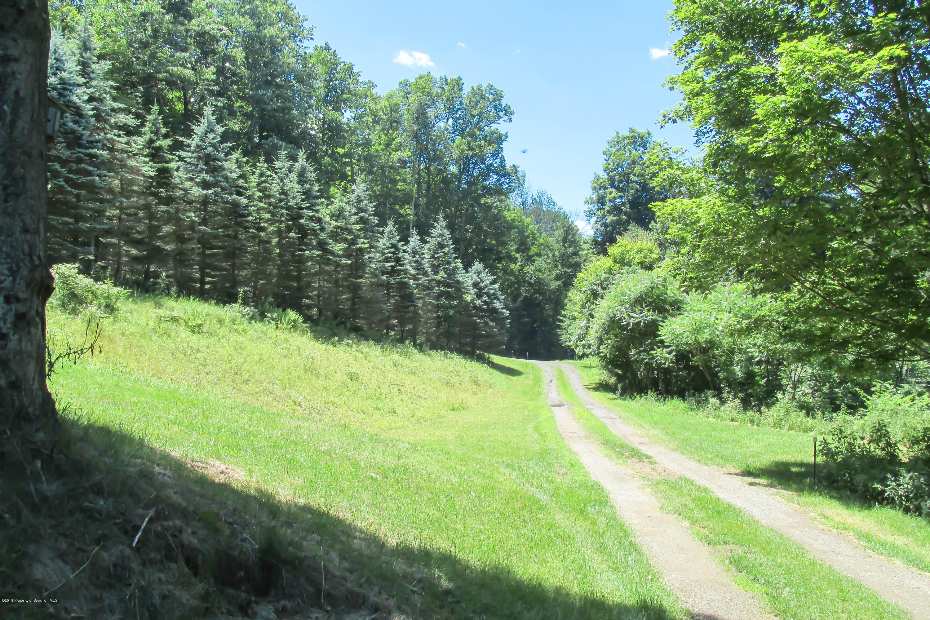 2309 White Pond Road Meshoppen, PA 18630 - Photo 18 of 21 a view of a yard with large trees