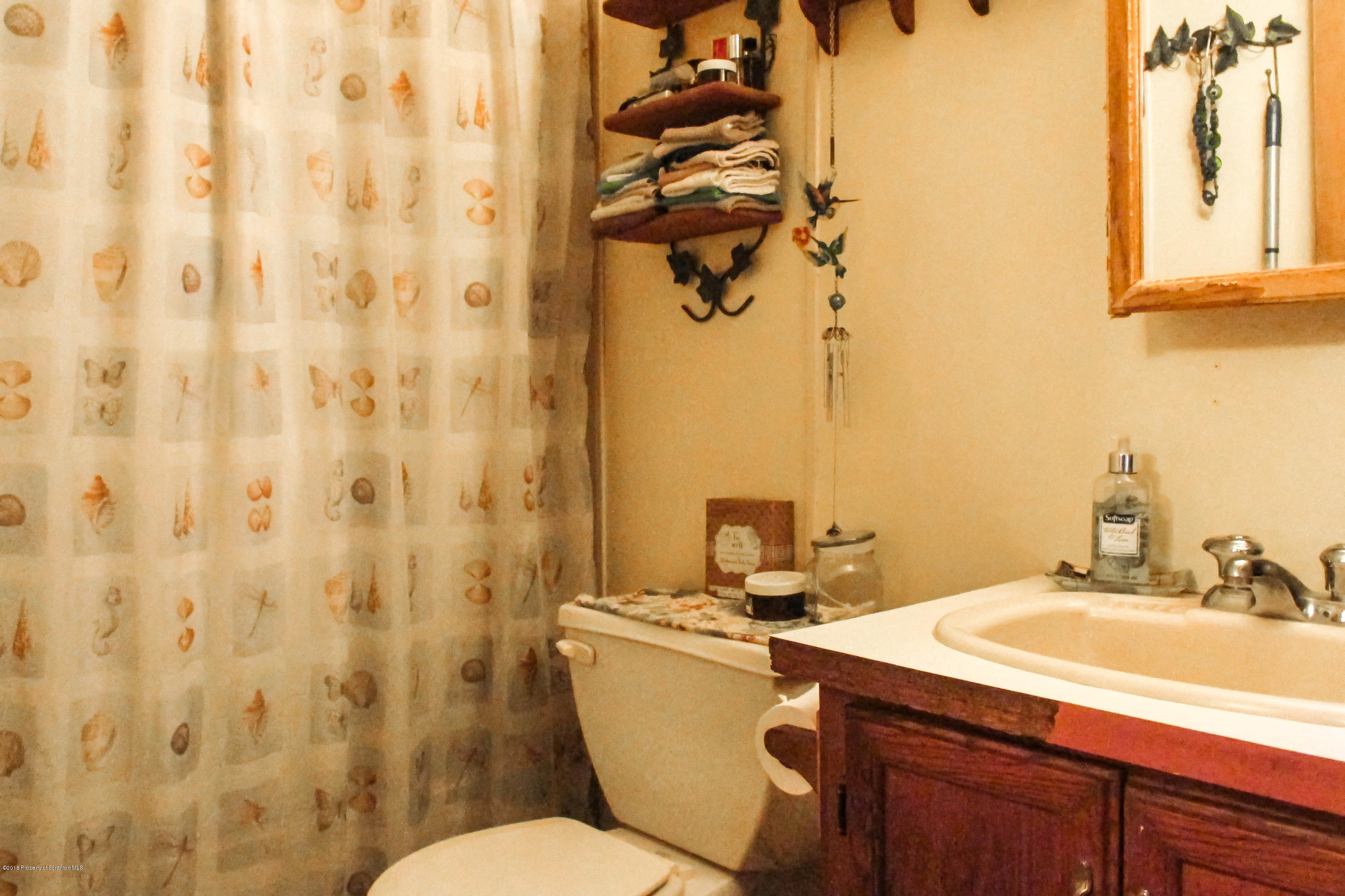 2309 White Pond Road Meshoppen, PA 18630 - Photo 10 of 21 a bathroom with a sink a toilet and shower curtain