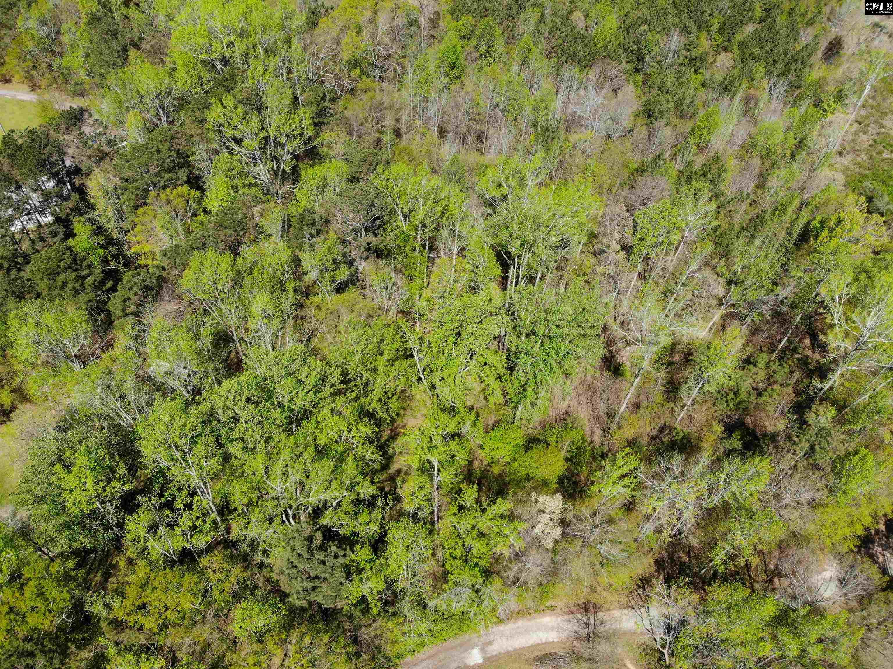 Tbd James Road Joanna, SC 29351 - Photo 49 of 82