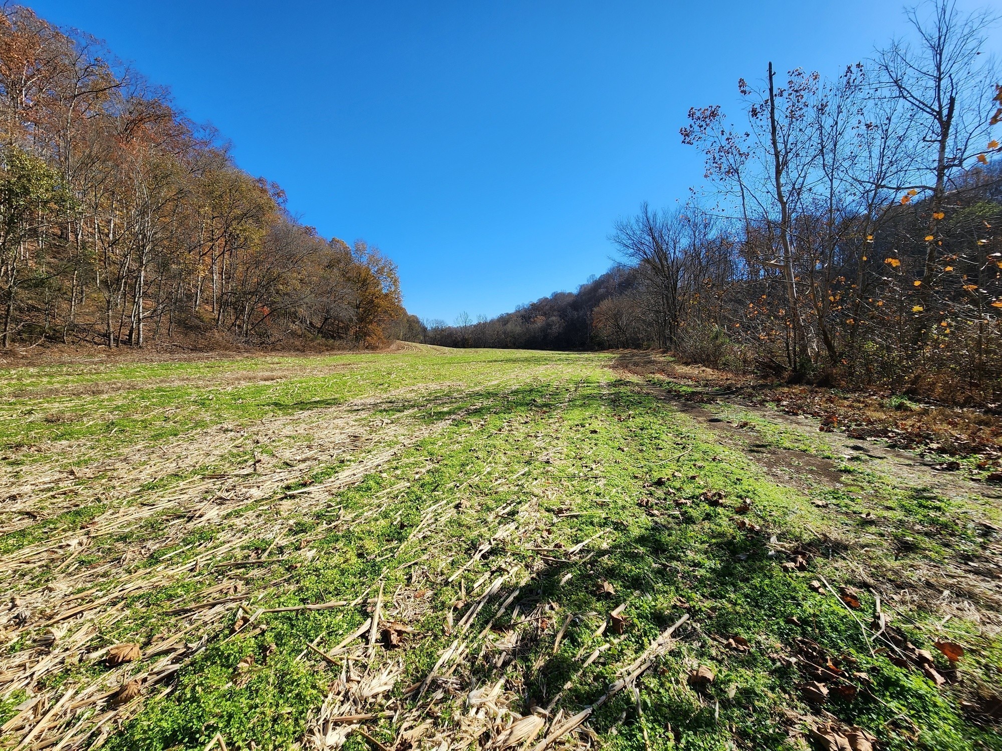0 Taurus Farm Road Lafayette, TN 37083 - Photo 67 of 67 Gallery Image 67