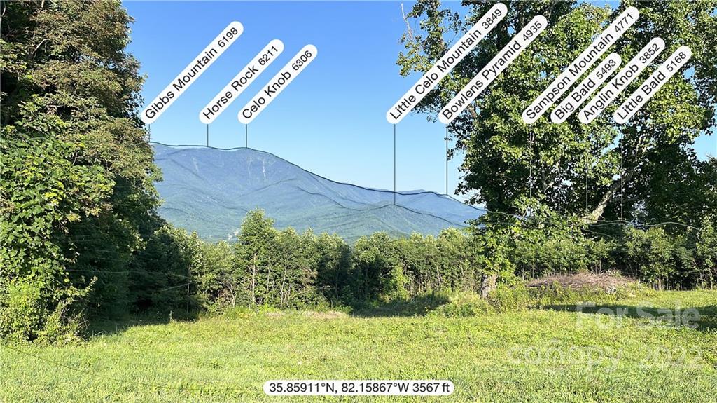 Tbd Cabbage Patch Road Burnsville, NC 28714 - Photo 11 of 22