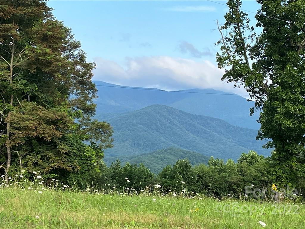 Tbd Cabbage Patch Road Burnsville, NC 28714 - Photo 12 of 22