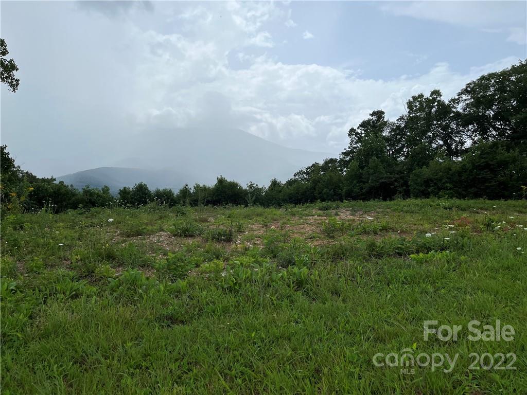 Tbd Cabbage Patch Road Burnsville, NC 28714 - Photo 14 of 22