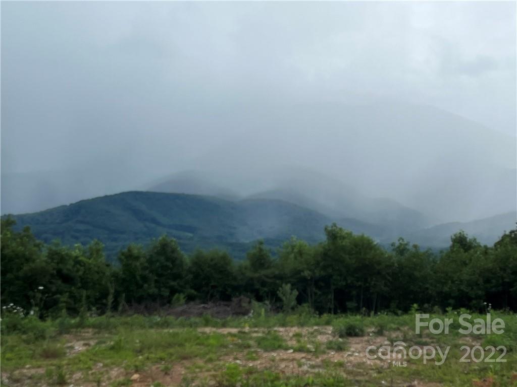 Tbd Cabbage Patch Road Burnsville, NC 28714 - Photo 15 of 22