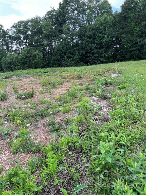 Tbd Cabbage Patch Road Burnsville, NC 28714 - Photo 16 of 22