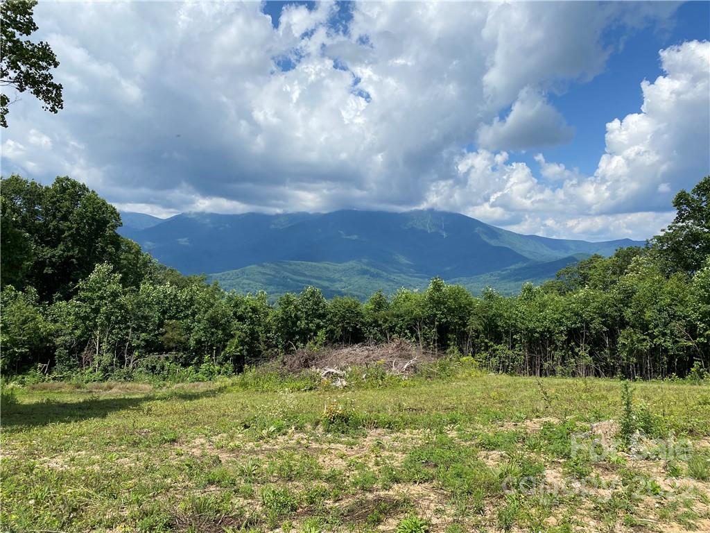 Tbd Cabbage Patch Road Burnsville, NC 28714 - Photo 2 of 22