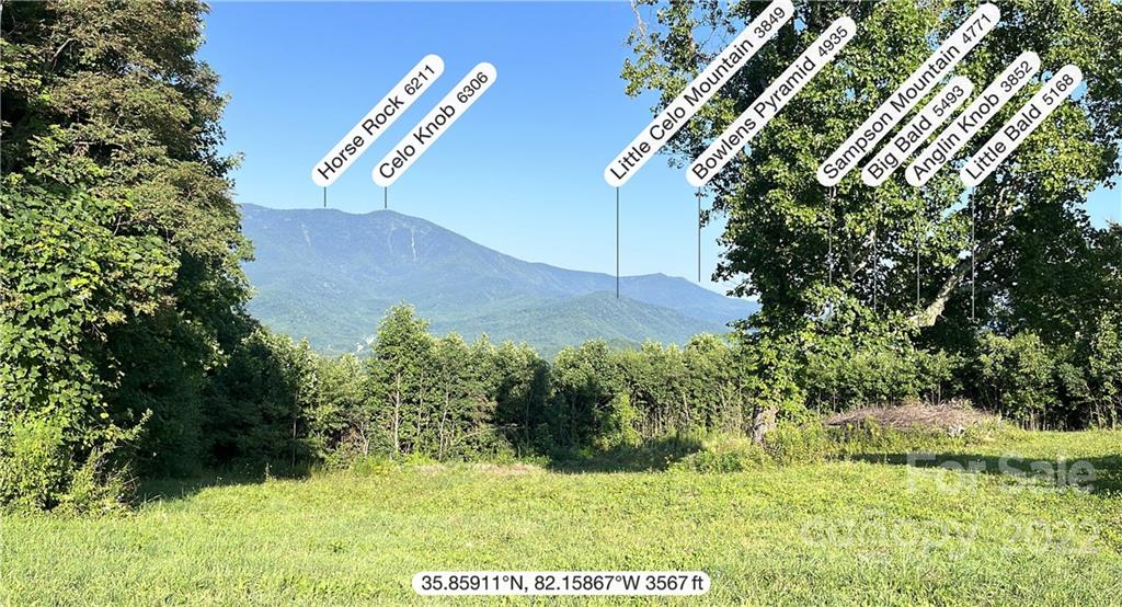 Tbd Cabbage Patch Road Burnsville, NC 28714 - Photo 21 of 22