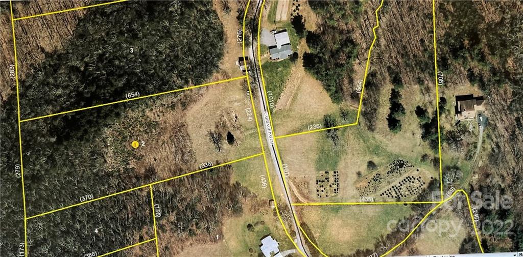 Tbd Cabbage Patch Road Burnsville, NC 28714 - Photo 22 of 22