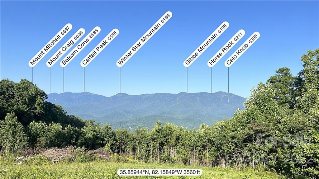 Tbd Cabbage Patch Road Burnsville, NC 28714 - Photo 4 of 22