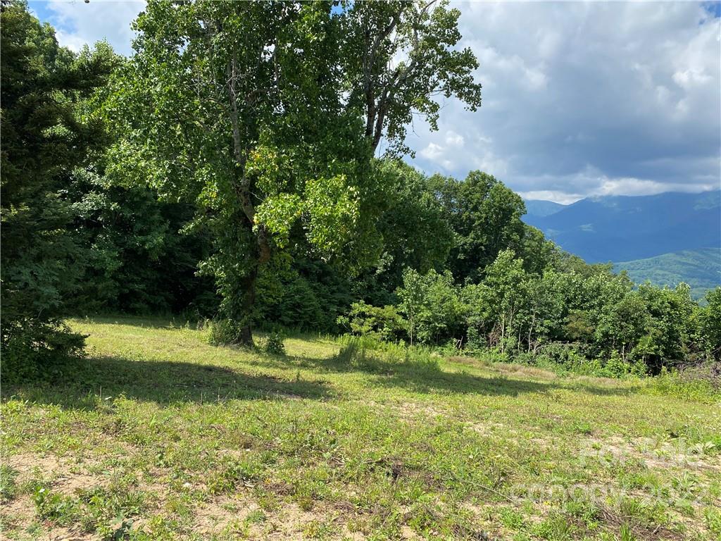 Tbd Cabbage Patch Road Burnsville, NC 28714 - Photo 5 of 22