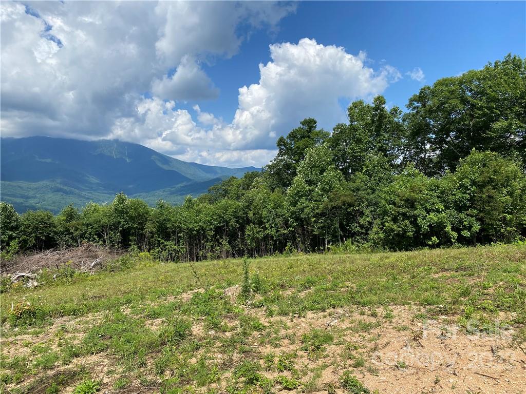 Tbd Cabbage Patch Road Burnsville, NC 28714 - Photo 6 of 22