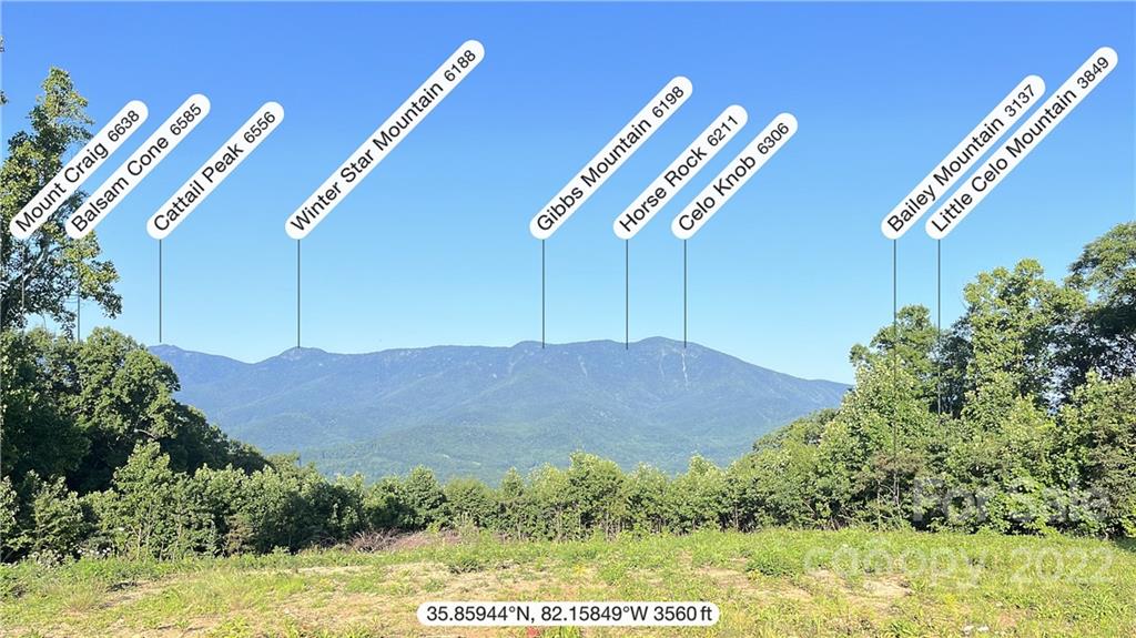 Tbd Cabbage Patch Road Burnsville, NC 28714 - Photo 8 of 22