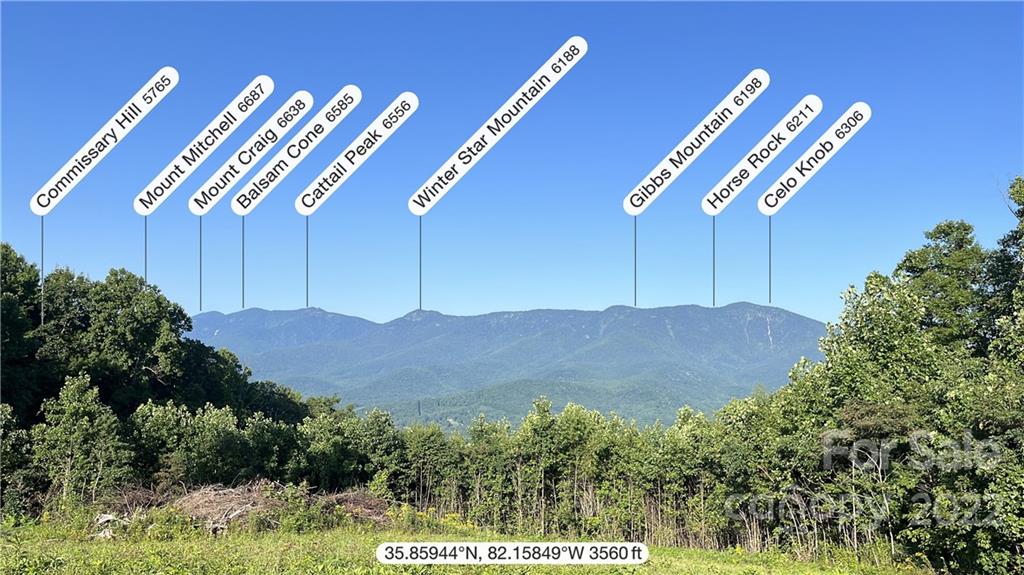 Tbd Cabbage Patch Road Burnsville, NC 28714 - Photo 9 of 22