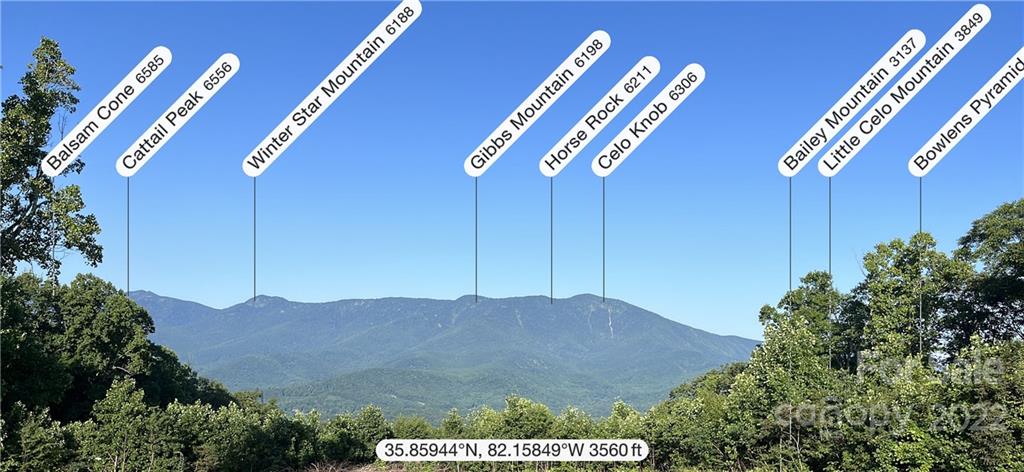 Tbd Cabbage Patch Road Burnsville, NC 28714 - Photo 10 of 22