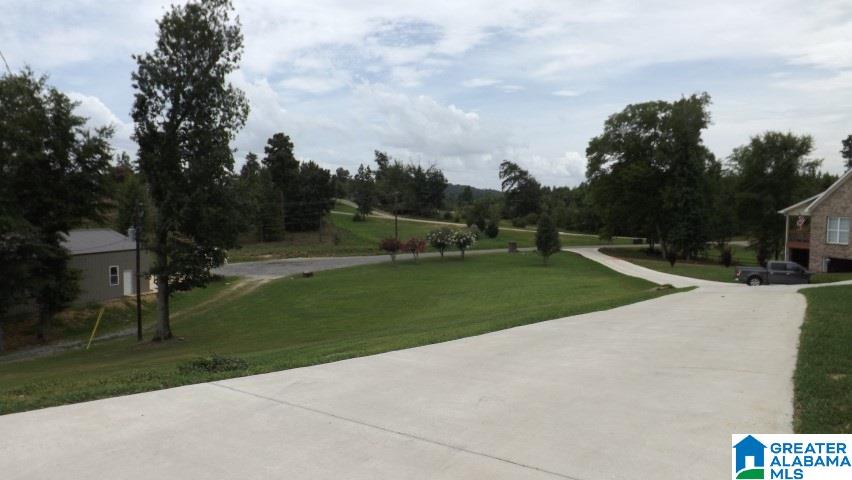 155 Lock 1 Road Ashville, AL 35953 - Photo 10 of 50