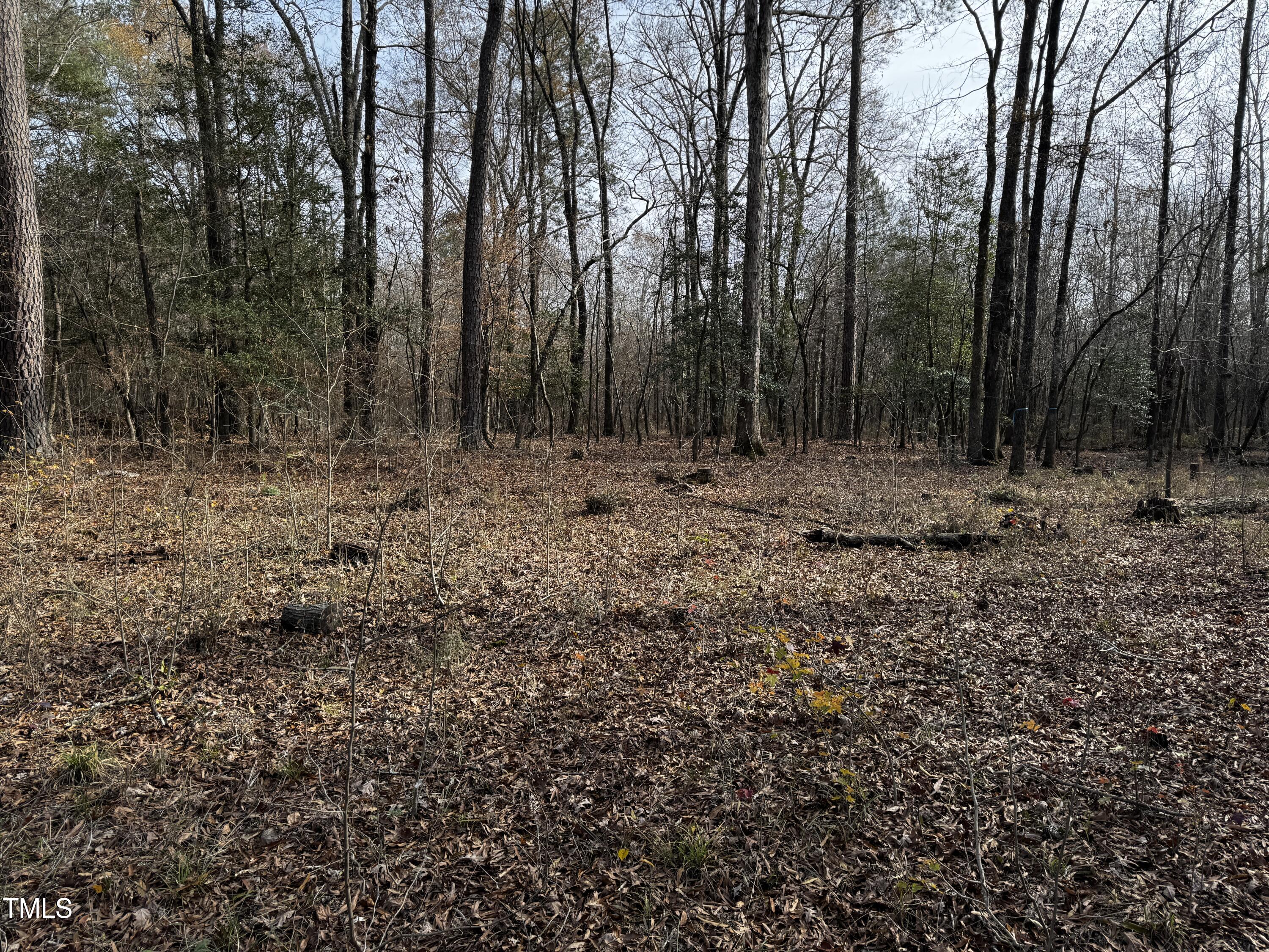 0 Lot 2c Sledge Road Bunn, NC 27508 - Photo 12 of 22 IMG_4922