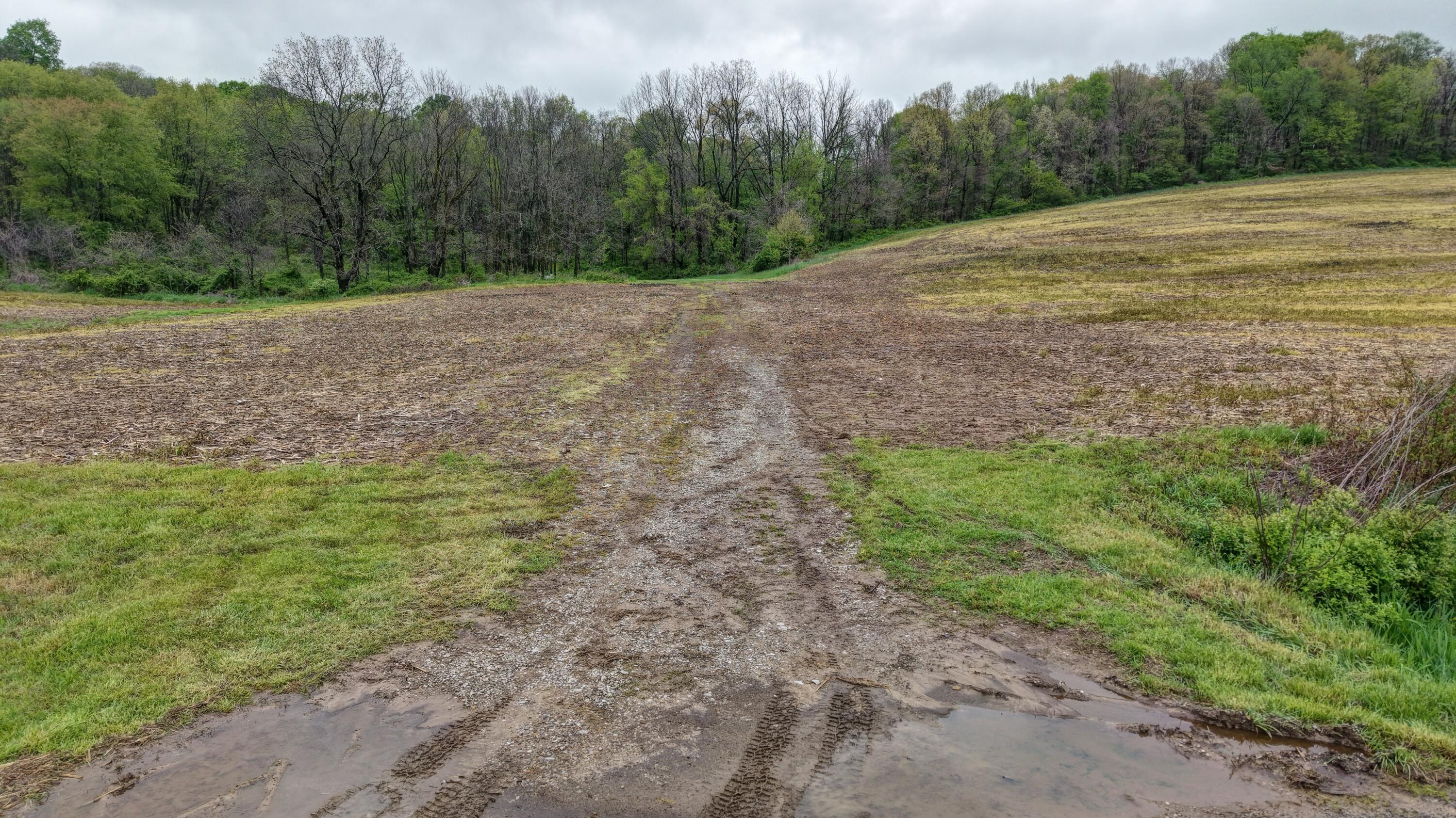 0 State Route 79 Warsaw, OH 43844 - Photo 22 of 27 DJI_20250504114652_0071_D_2_D_3_D_4_D_5_