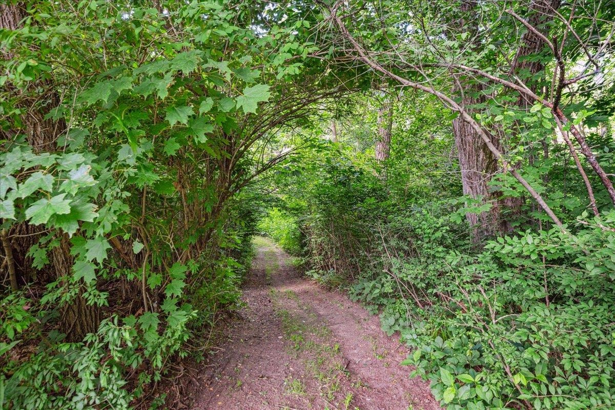 7 Grassy Brook Road Brookline, VT 05345 - Photo 48 of 58