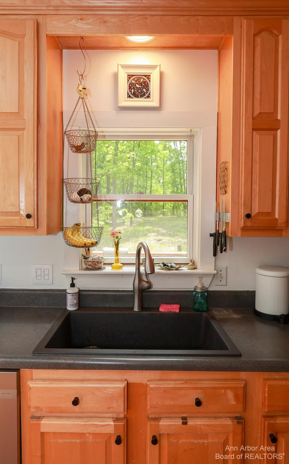 4848 Bemis Road Ypsilanti, MI 48197 - Photo 5 of 54 Photo 5