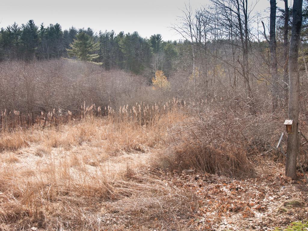15 Payne Road Kittery, ME 03905 - Photo 23 of 34