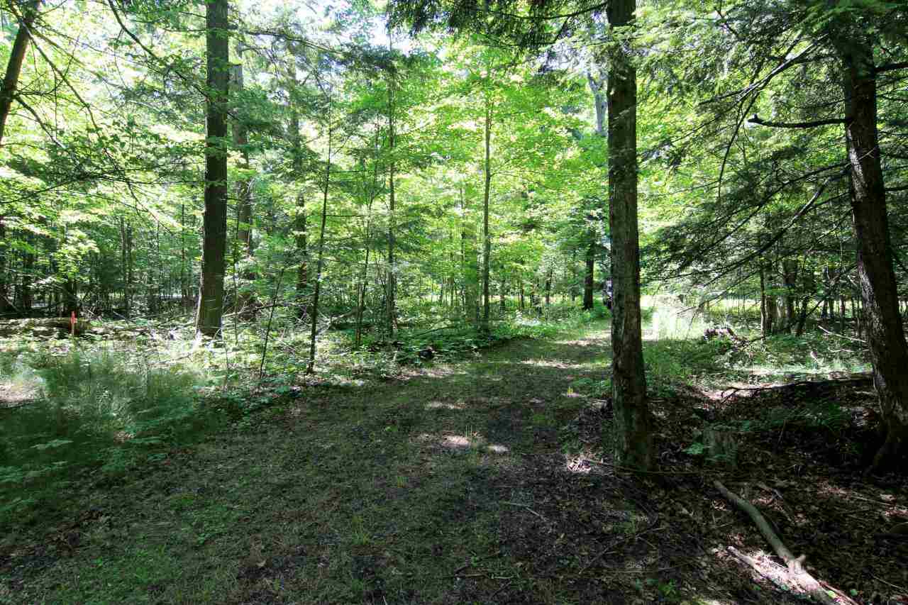 5044 Omena Point Road Omena, MI 49674 - Photo 8 of 44 1835774-7.JPG