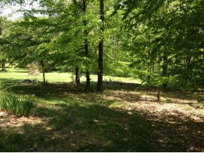 6394 East Calvertville Road Solsberry, IN 47459 - Photo 7 of 24