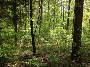 6394 East Calvertville Road Solsberry, IN 47459 - Photo 9 of 24