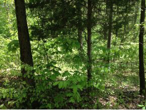 6394 East Calvertville Road Solsberry, IN 47459 - Photo 10 of 24