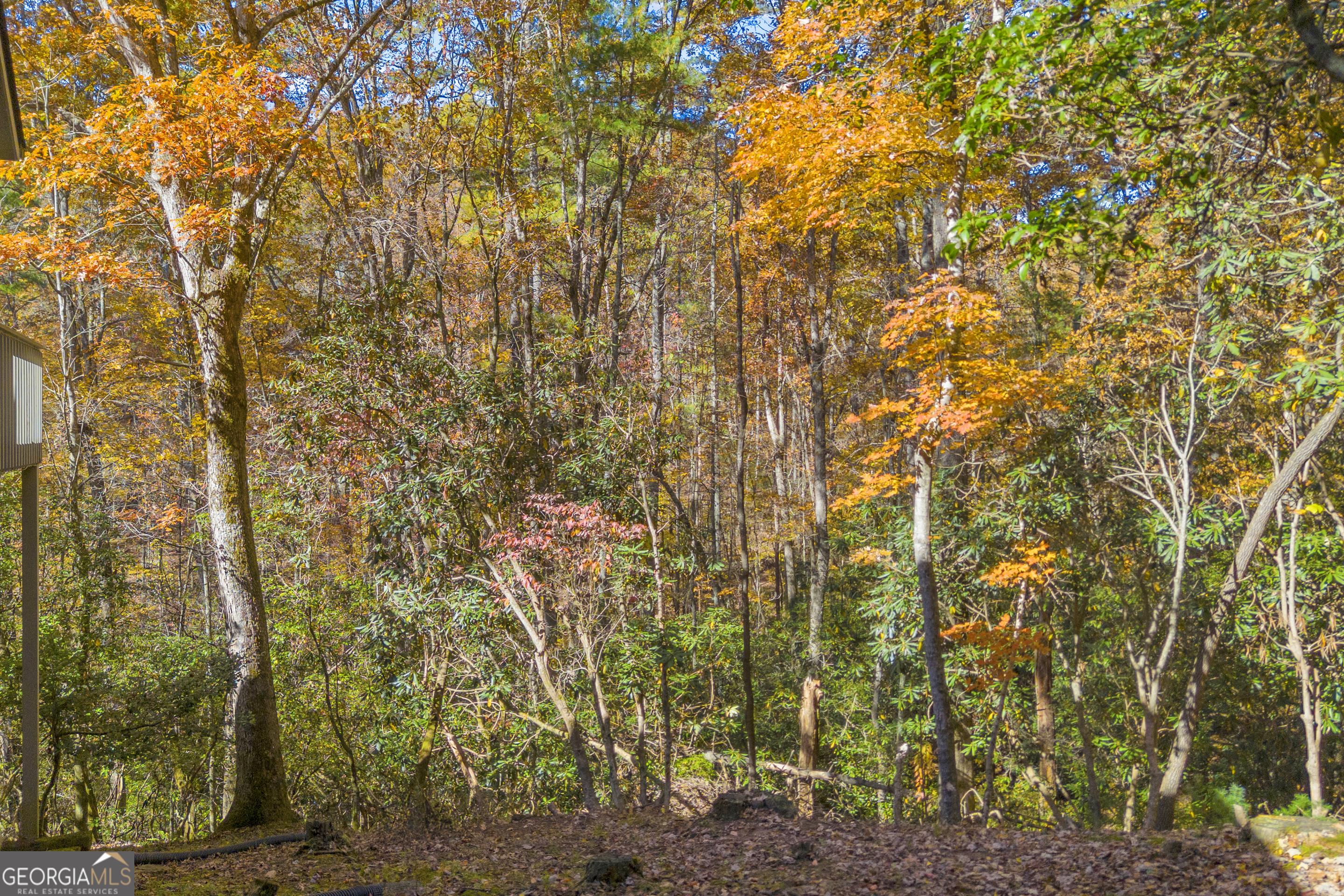222 Blue Ridge Drive Sautee Nacoochee, GA 30571 - Photo 53 of 106 a view of a yard with plants and trees