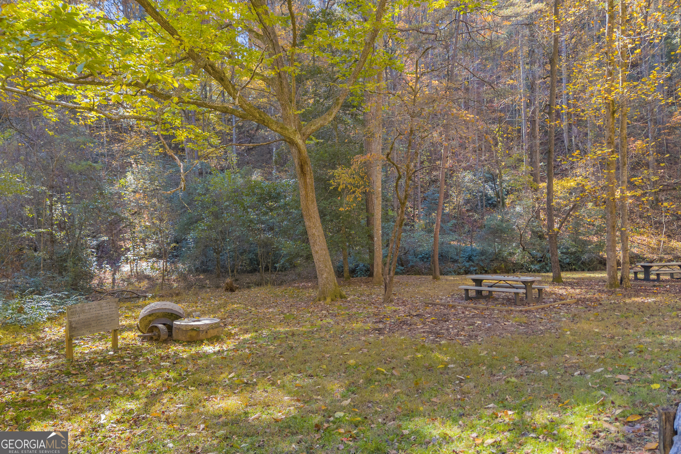 222 Blue Ridge Drive Sautee Nacoochee, GA 30571 - Photo 54 of 106 a backyard of a house with lots of green space