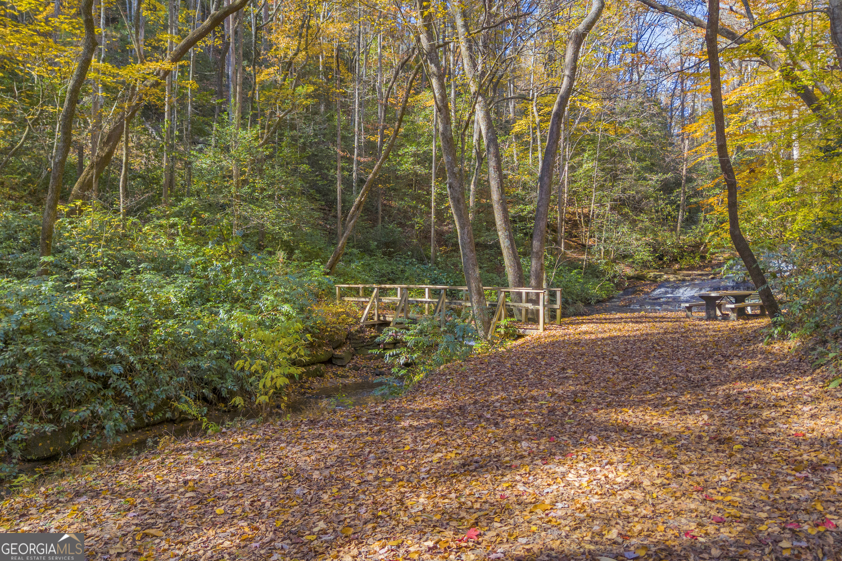 222 Blue Ridge Drive Sautee Nacoochee, GA 30571 - Photo 55 of 106 a view of a yard with plants and trees