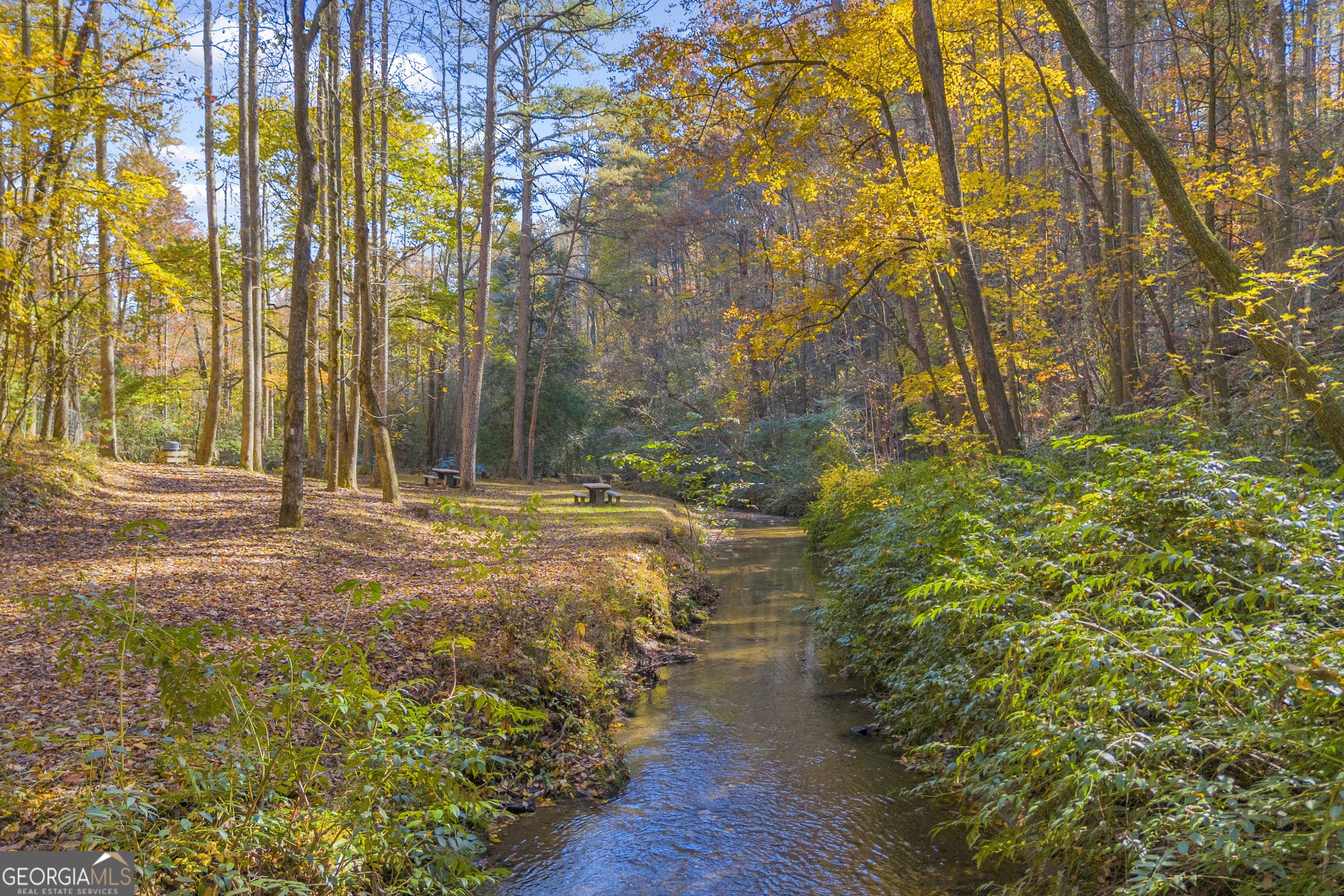 222 Blue Ridge Drive Sautee Nacoochee, GA 30571 - Photo 58 of 106 a view of a yard with plants and trees