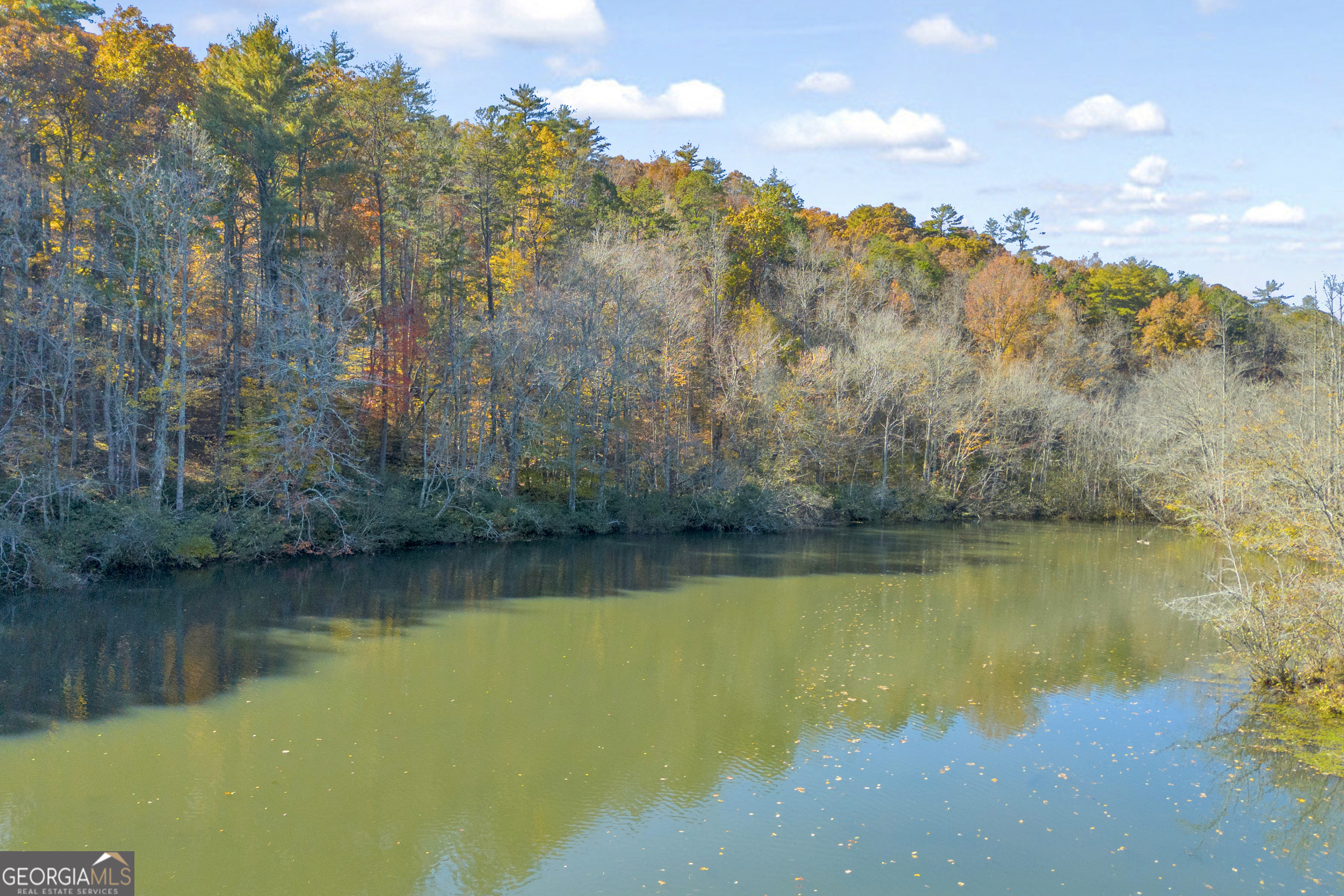 222 Blue Ridge Drive Sautee Nacoochee, GA 30571 - Photo 63 of 106