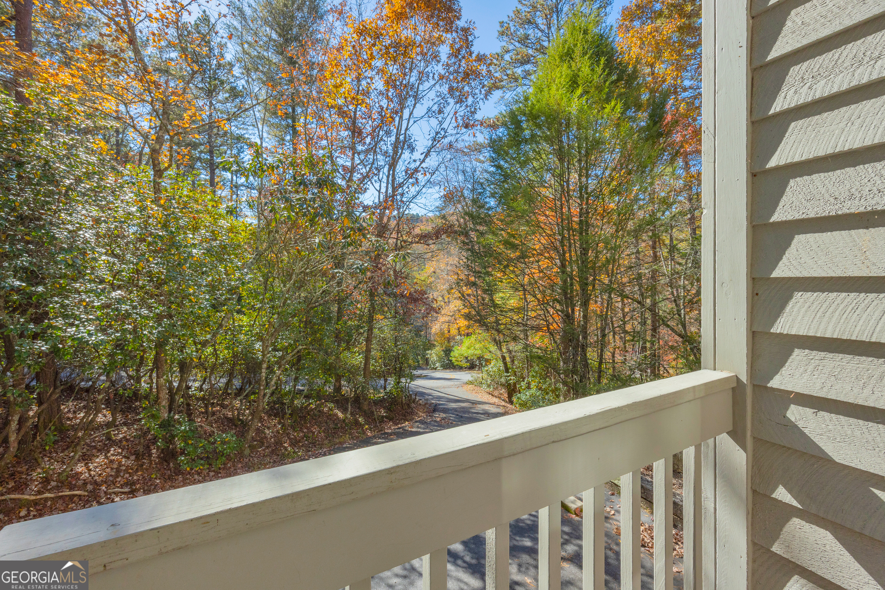 222 Blue Ridge Drive Sautee Nacoochee, GA 30571 - Photo 81 of 106 a view of a forest from a window