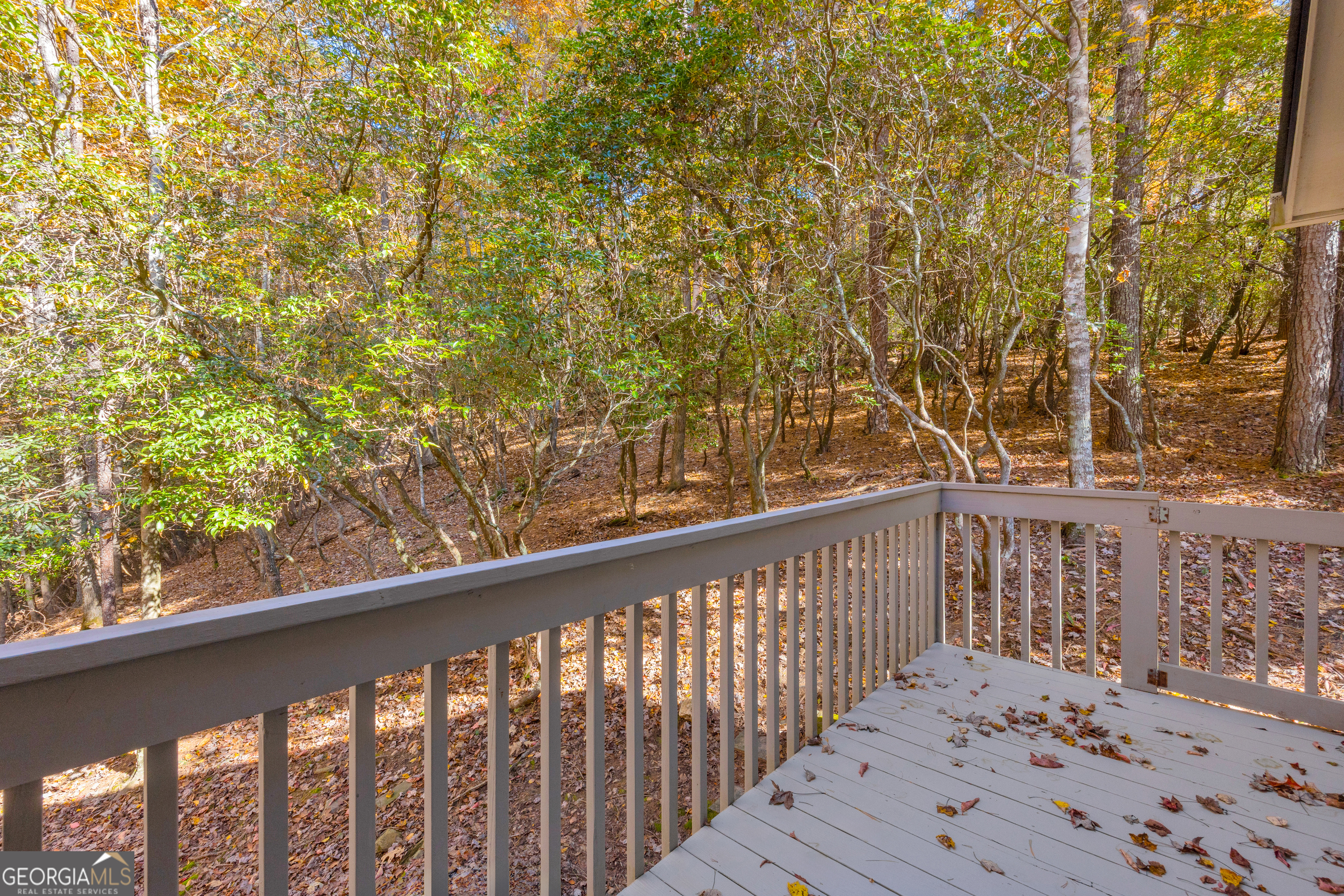 222 Blue Ridge Drive Sautee Nacoochee, GA 30571 - Photo 82 of 106