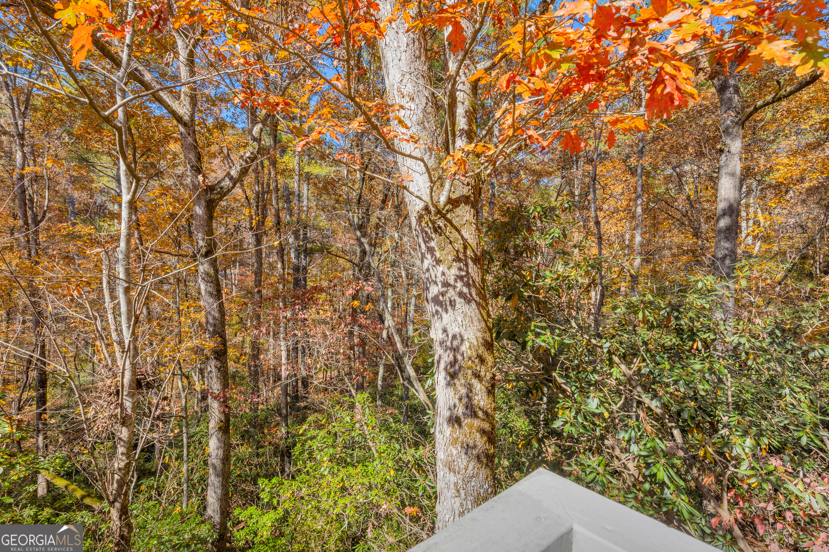 222 Blue Ridge Drive Sautee Nacoochee, GA 30571 - Photo 86 of 106