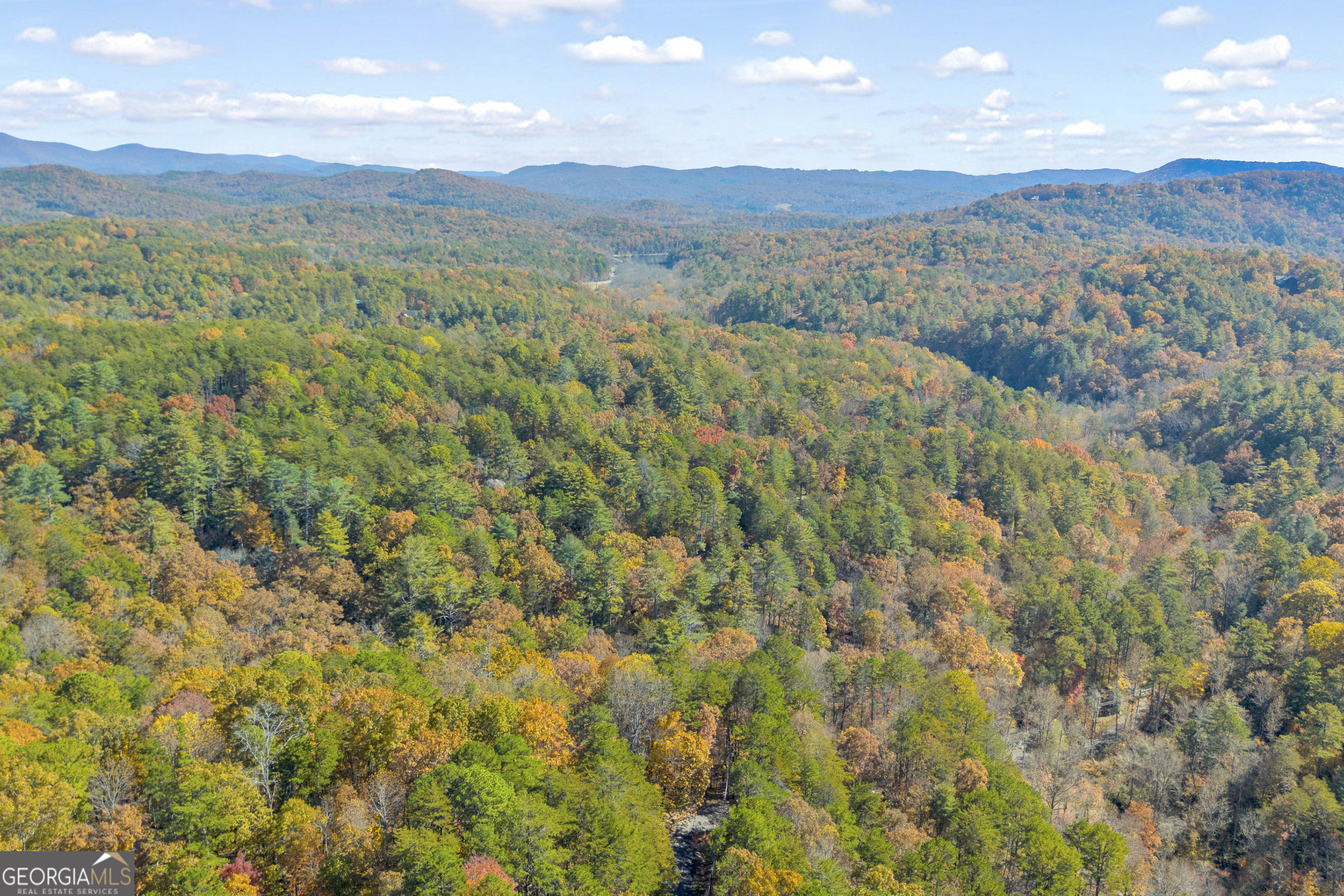 222 Blue Ridge Drive Sautee Nacoochee, GA 30571 - Photo 96 of 106 a view of a lush green forest with lush green forest
