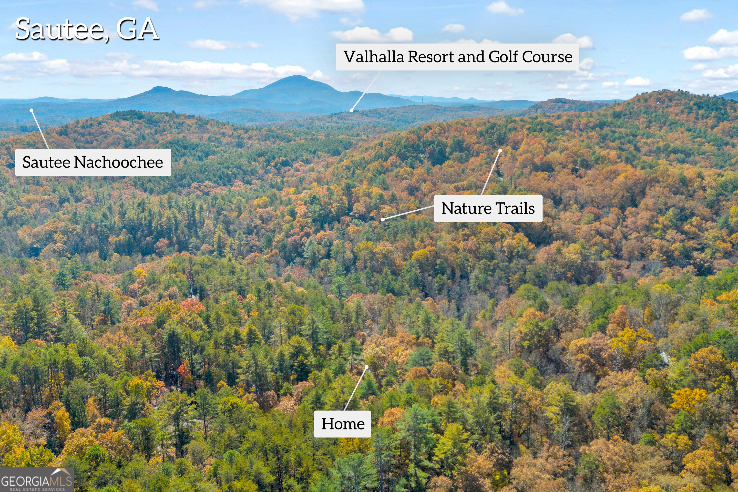 222 Blue Ridge Drive Sautee Nacoochee, GA 30571 - Photo 99 of 106