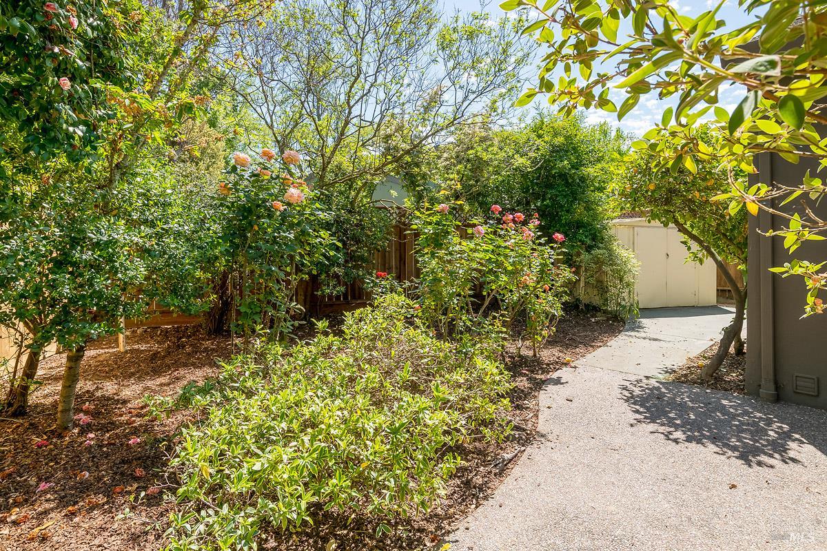 406 Corrillo Drive San Rafael, CA 94903 - Photo 28 of 35