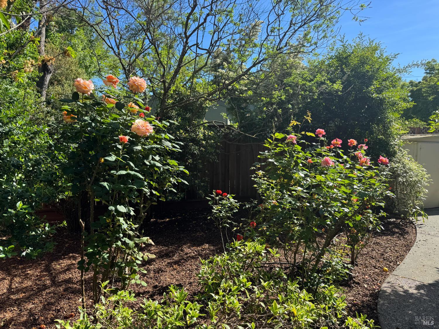 406 Corrillo Drive San Rafael, CA 94903 - Photo 29 of 35