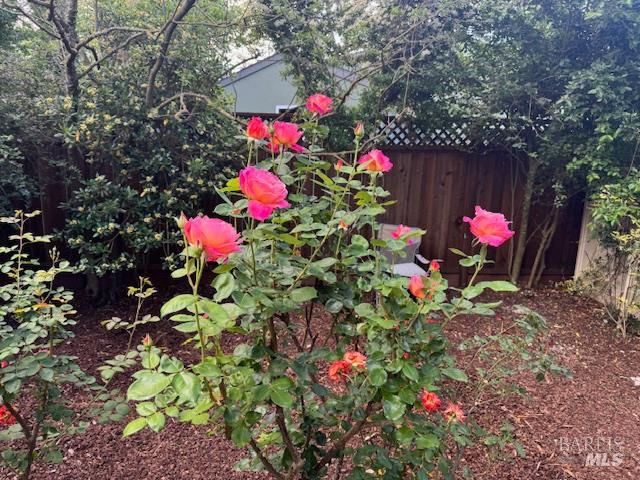 406 Corrillo Drive San Rafael, CA 94903 - Photo 30 of 35