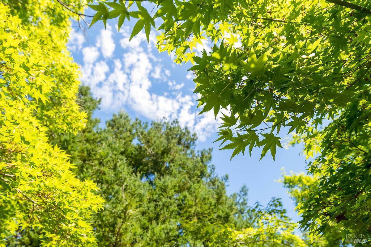 406 Corrillo Drive San Rafael, CA 94903 - Photo 31 of 35