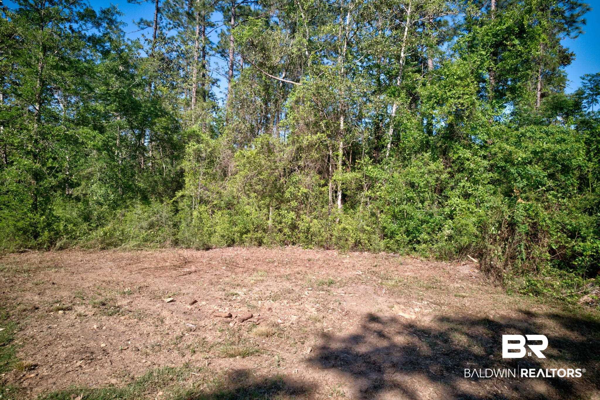 Fox Branch Drive Loxley, AL 36551 - Photo 12 of 15