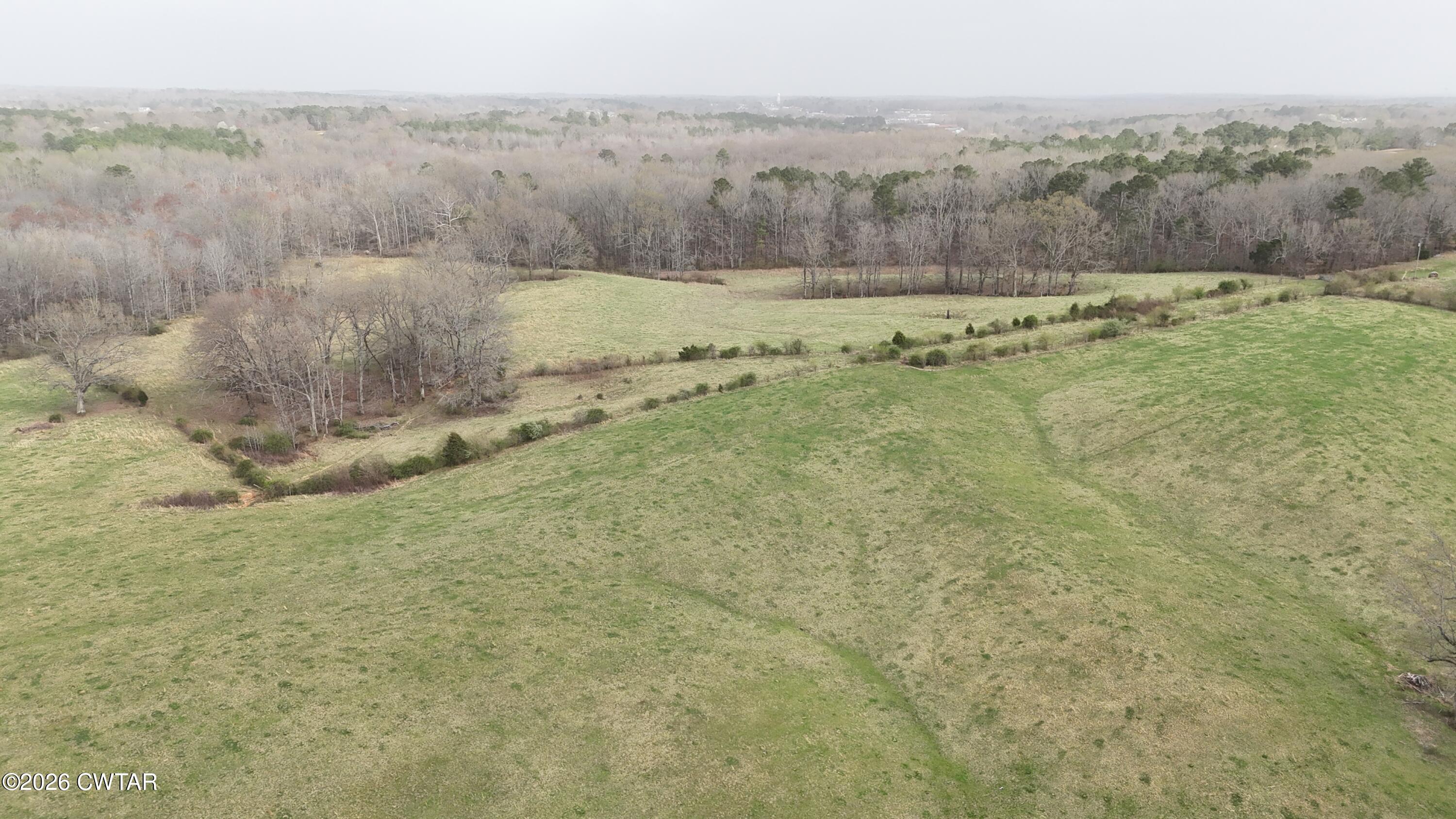 -tract #1 Brazil Bottom Road Lexington, TN 38351 - Photo 6 of 13 a view of a dry yard with trees